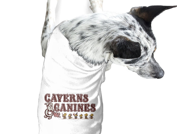 Caverns And Canines