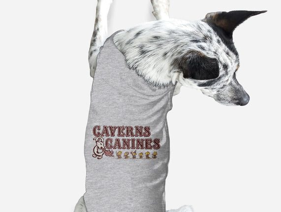 Caverns And Canines