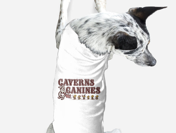 Caverns And Canines