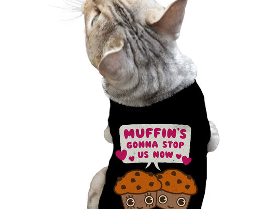Muffin's Gonna Stop Us