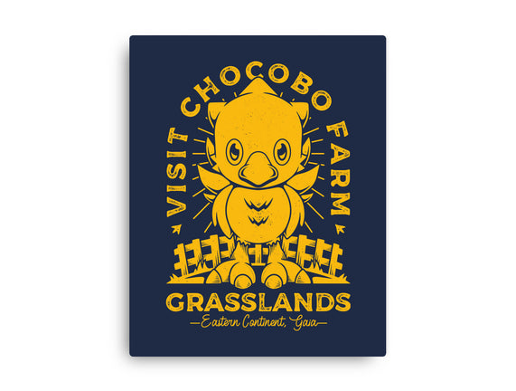 Grasslands Area Farm