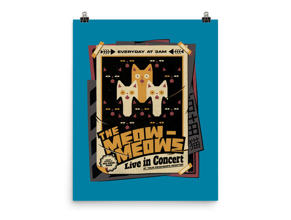 Meow Meows Live