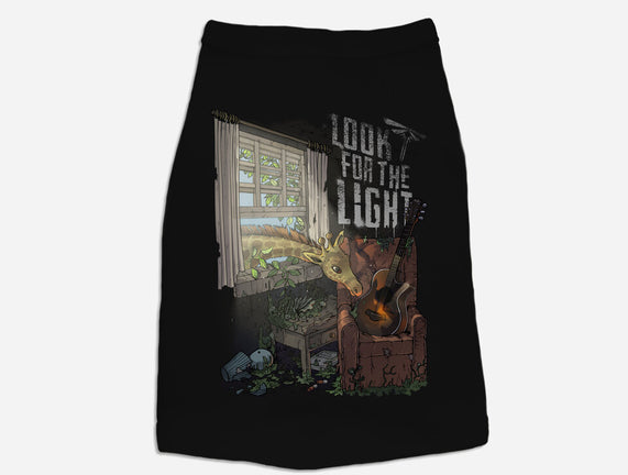 Always Look For The Light