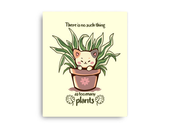 No Such Thing As Too Many Plants
