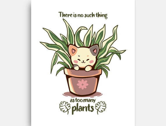 No Such Thing As Too Many Plants