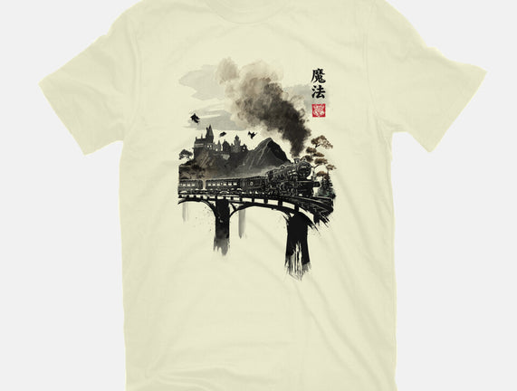 Train To School Of Magic