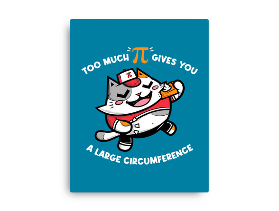 Too Much Pi