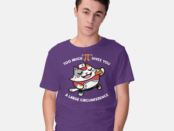 Too Much Pi