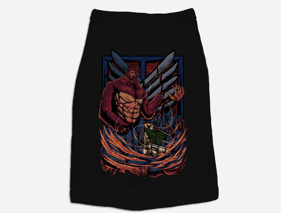 Levi's Brutality
