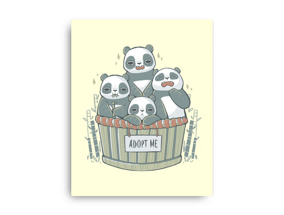 Adopt A Panda