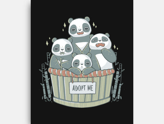 Adopt A Panda