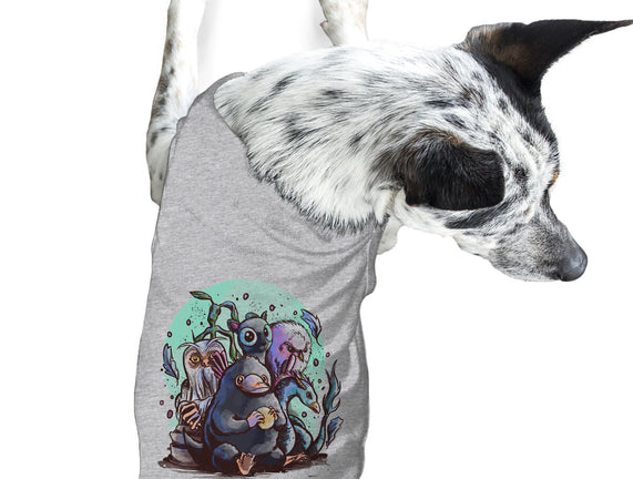 Magical Beasts