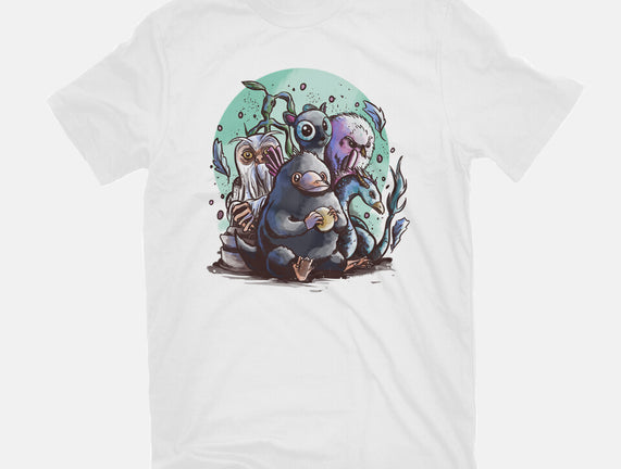 Magical Beasts