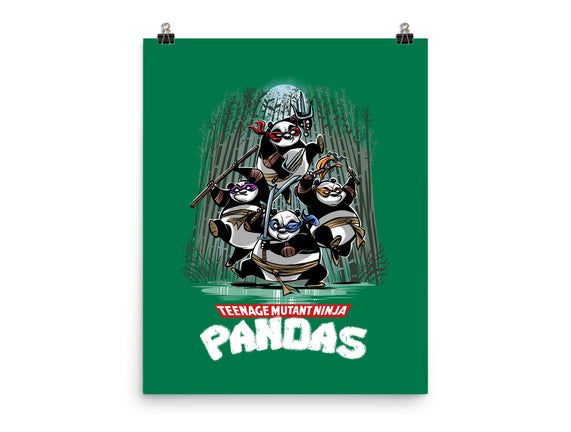 Teenage Mutant Ninja Pandas
