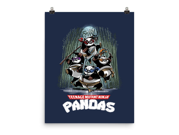 Teenage Mutant Ninja Pandas