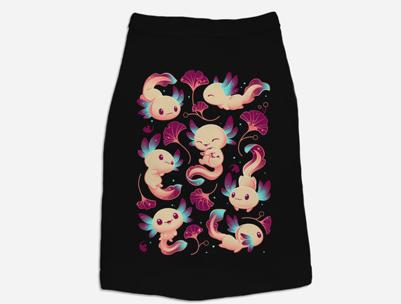 Axolotl Wonders