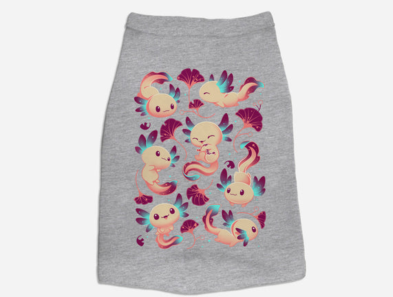 Axolotl Wonders