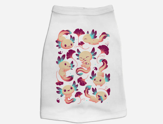 Axolotl Wonders