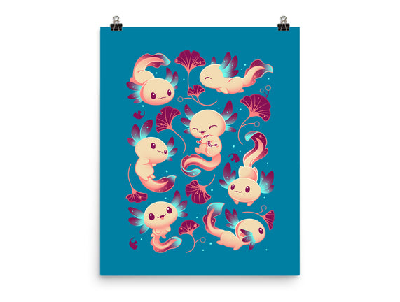 Axolotl Wonders