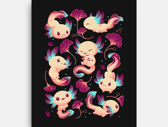 Axolotl Wonders