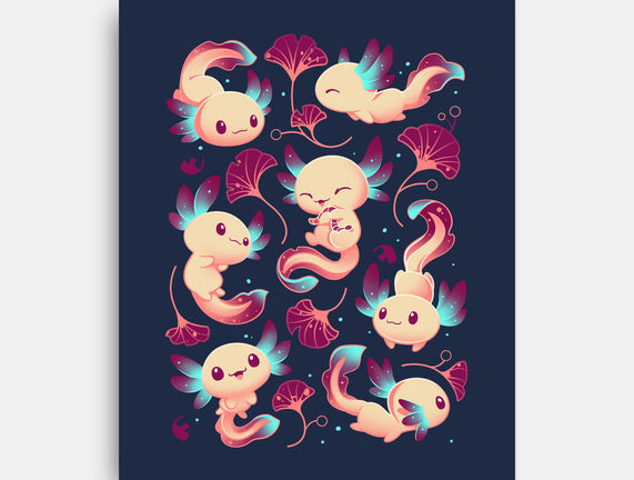 Axolotl Wonders
