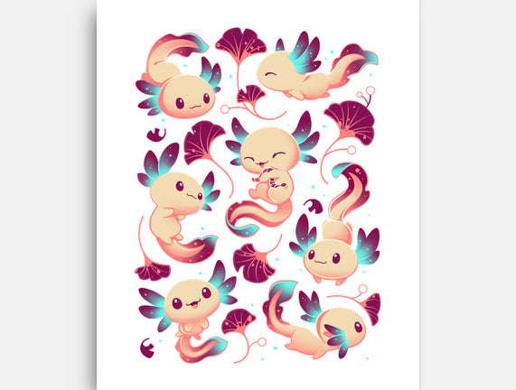Axolotl Wonders