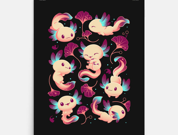 Axolotl Wonders