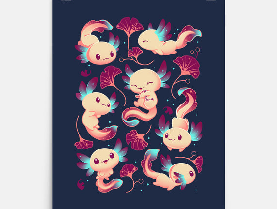 Axolotl Wonders