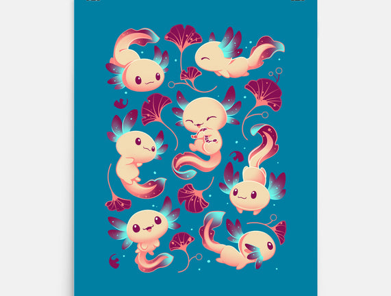 Axolotl Wonders