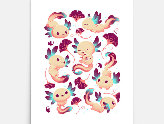 Axolotl Wonders