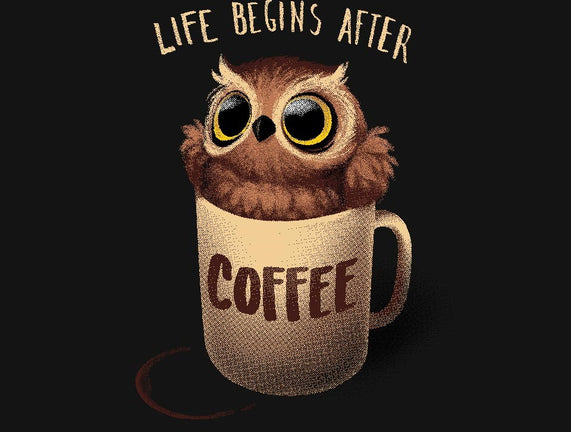 Night Owl