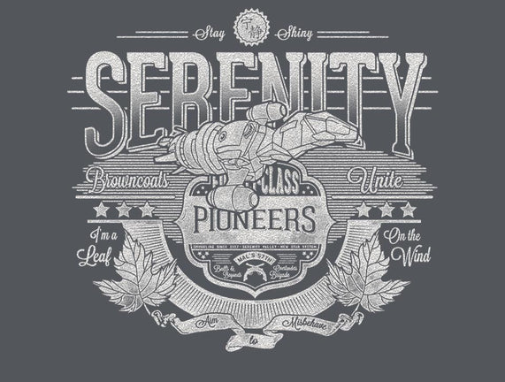 Space Pioneers