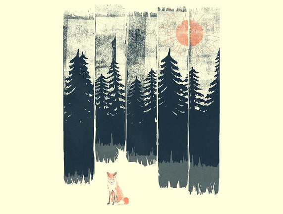 Fox In the Wild