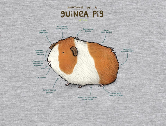 Anatomy of a Guinea Pig