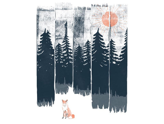 Fox In the Wild