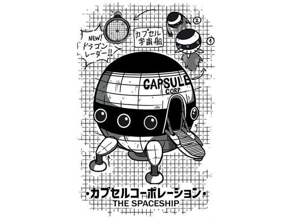 Capsule Spaceship