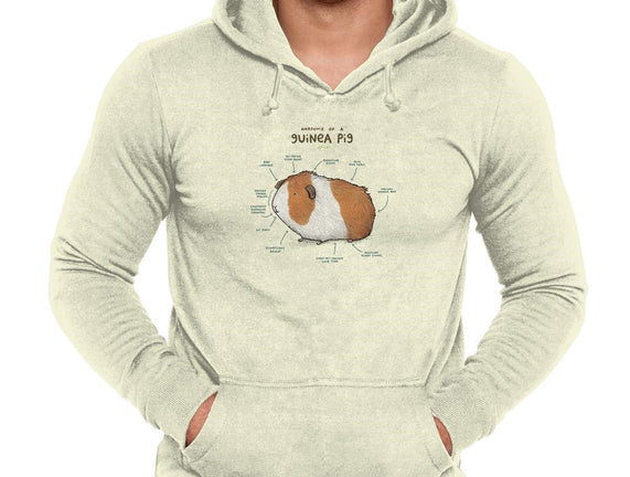 Anatomy of a Guinea Pig