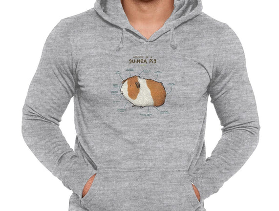Anatomy of a Guinea Pig