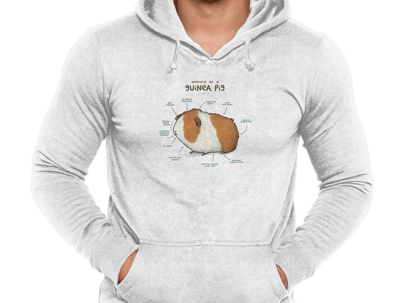 Anatomy of a Guinea Pig