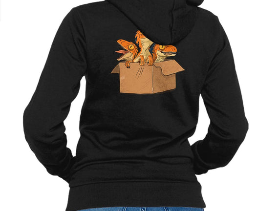 Adopt a Raptor