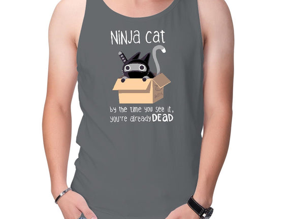 Ninja Cat