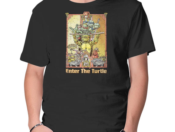 Enter the Turtle