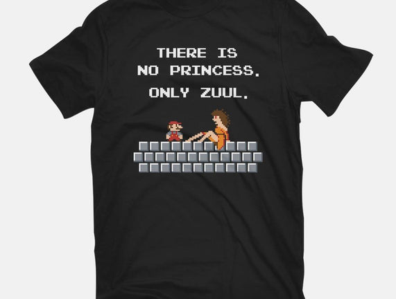 There Is No Princess