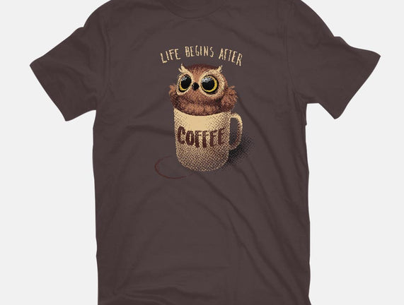 Night Owl
