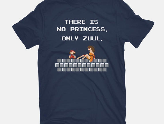 There Is No Princess