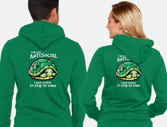 Antisocial Turtle