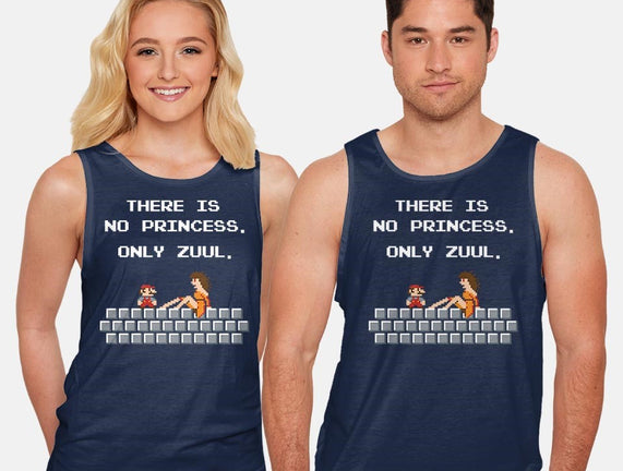 There Is No Princess