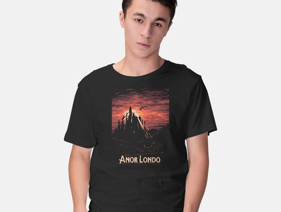 Visit Anor Londo