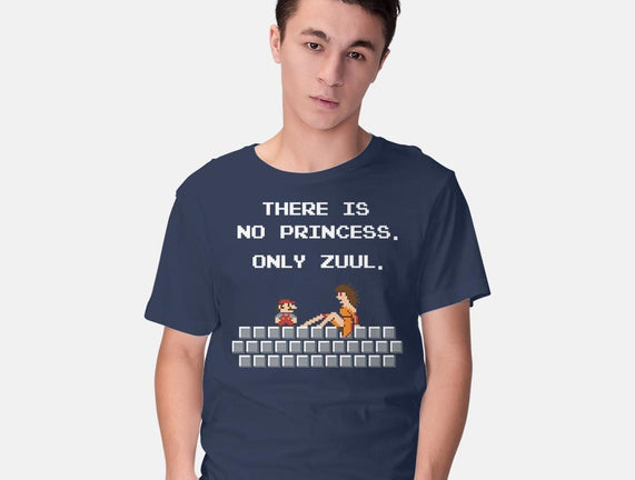 There Is No Princess