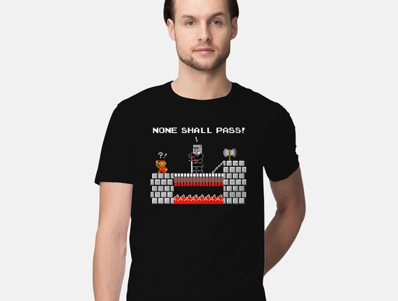 None Shall Pass Including Plumbers